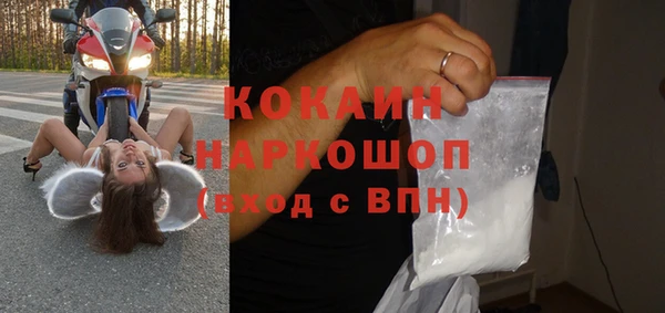 индика Армянск