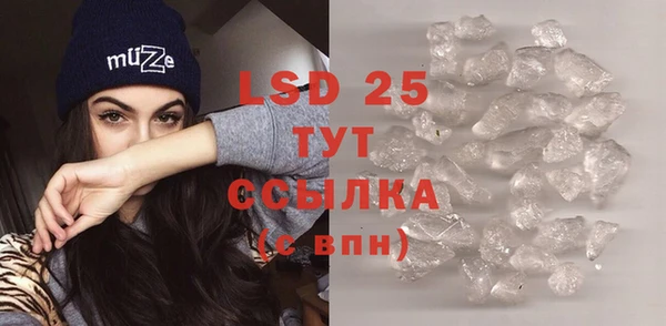 индика Армянск