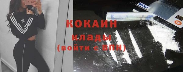 дмт Арсеньев