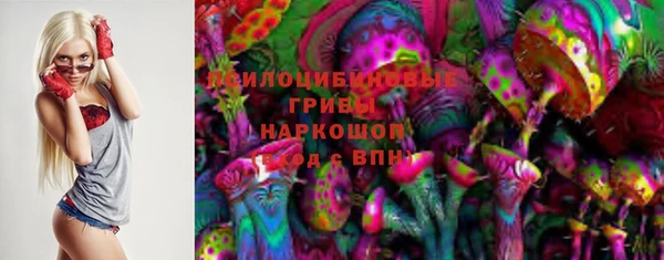дмт Арсеньев