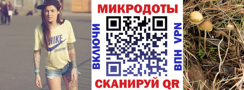 даркнет сайт  Пудож  Псилоцибиновые грибы мухоморы 